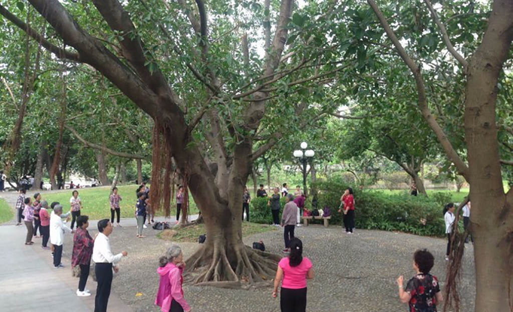 深圳东部华侨城旅游攻略,深圳游玩推荐南山区荔香公园