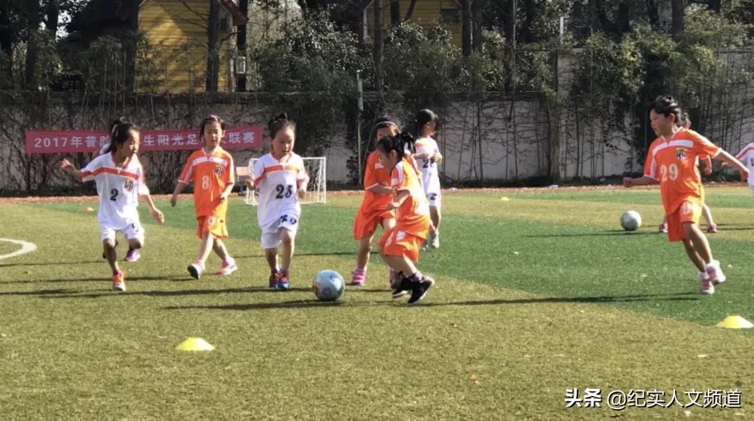 绿茵园游乐场,有什么种类的游乐场