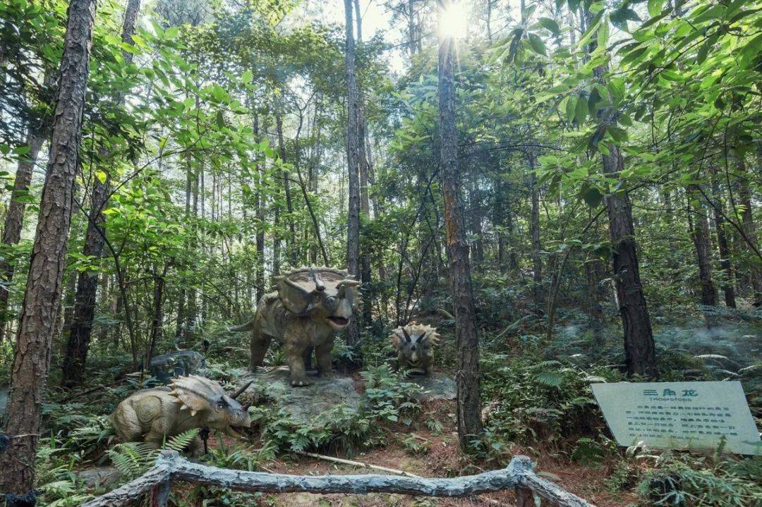 森波拉温泉度假村两天一夜游,倒数跨年狂欢夜