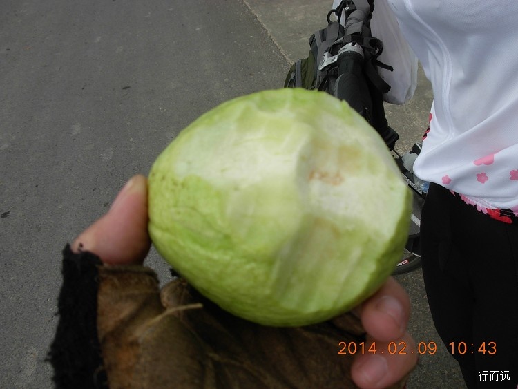 海南环岛骑行的结束感悟,环海南岛骑行中线和西线