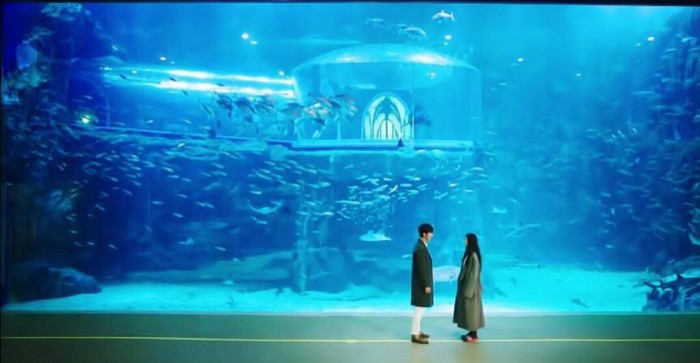 推荐三部口碑炸裂的剧情韩剧,盘点5部奠定男神地位的韩剧