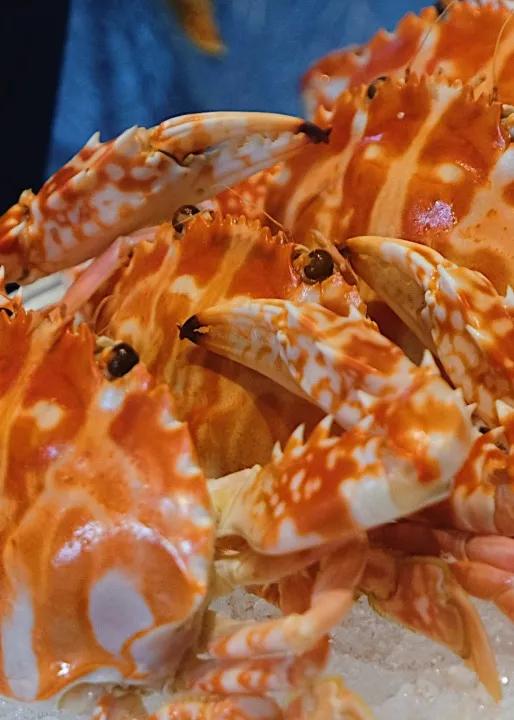 希尔顿逸林增城,希尔顿逸林五爱街