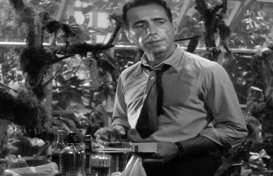 毛骨悚然一部惊悚悬疑电影,好莱坞最恐怖的悬疑电影