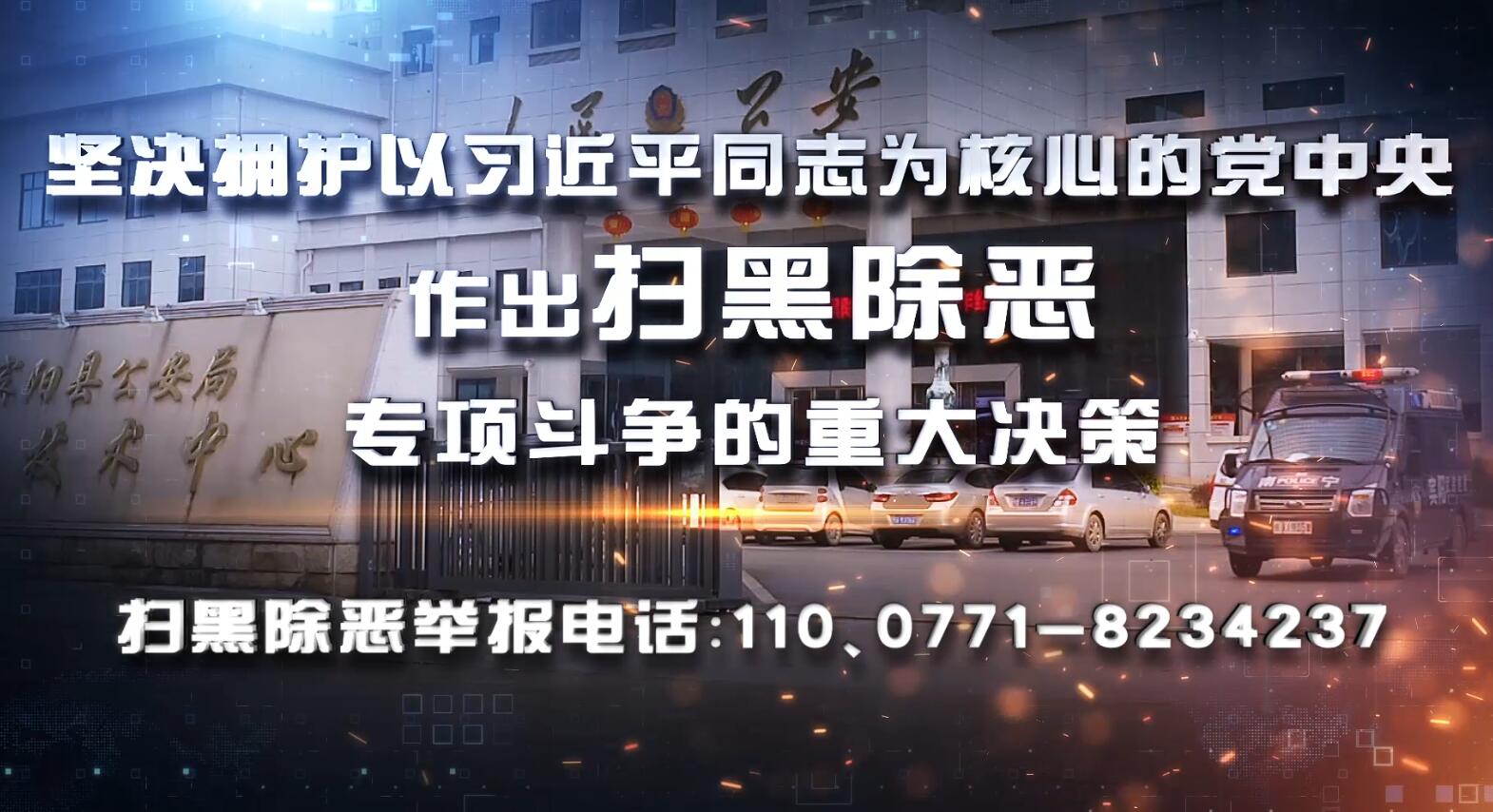 宾阳电信网络诈骗落网人员名单 (宾阳县2019电信诈骗案)