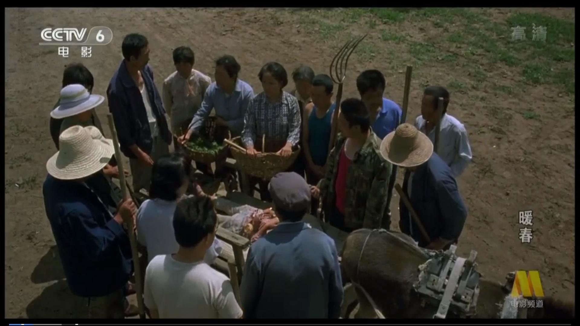 暖春电影观后感,暖春观后感影评400字