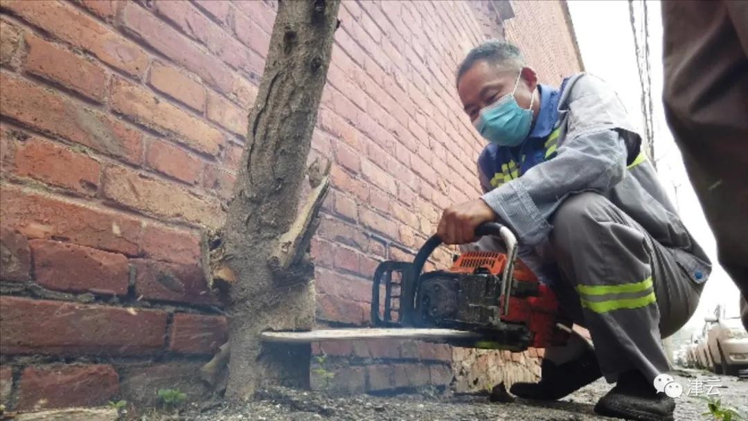 「津云调查」你打过12345吗？听筒的另一端，原来是这样的……