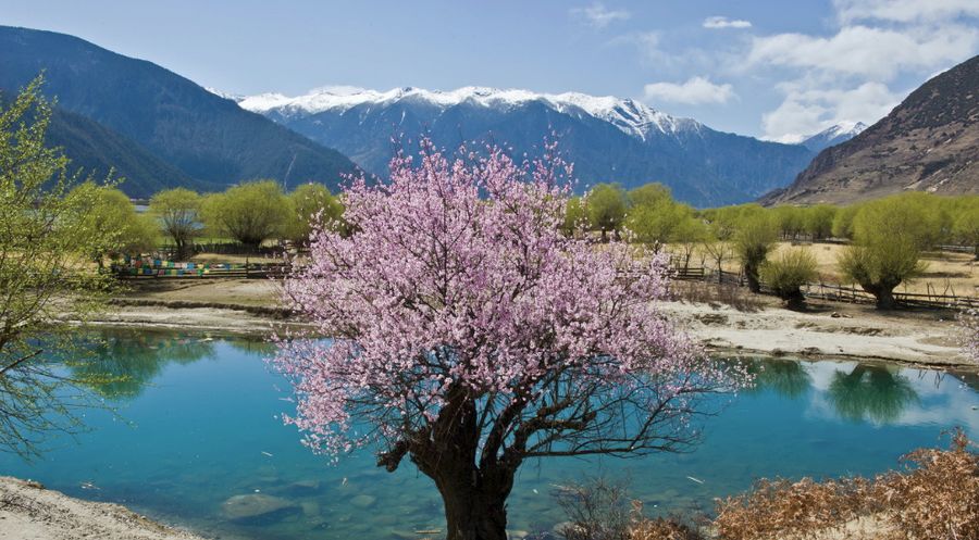 春天去哪里呢歌词,春天去哪里啊歌曲陕西