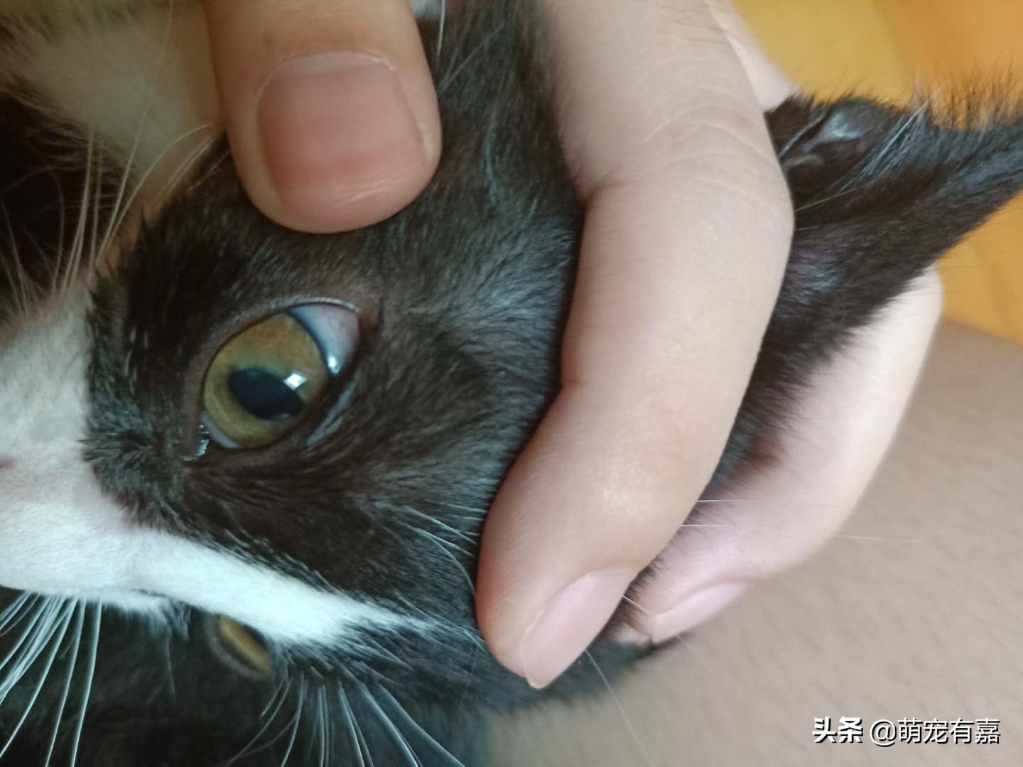 角膜炎结膜炎眼部症状,眼病结膜炎角膜炎平时要注意什么