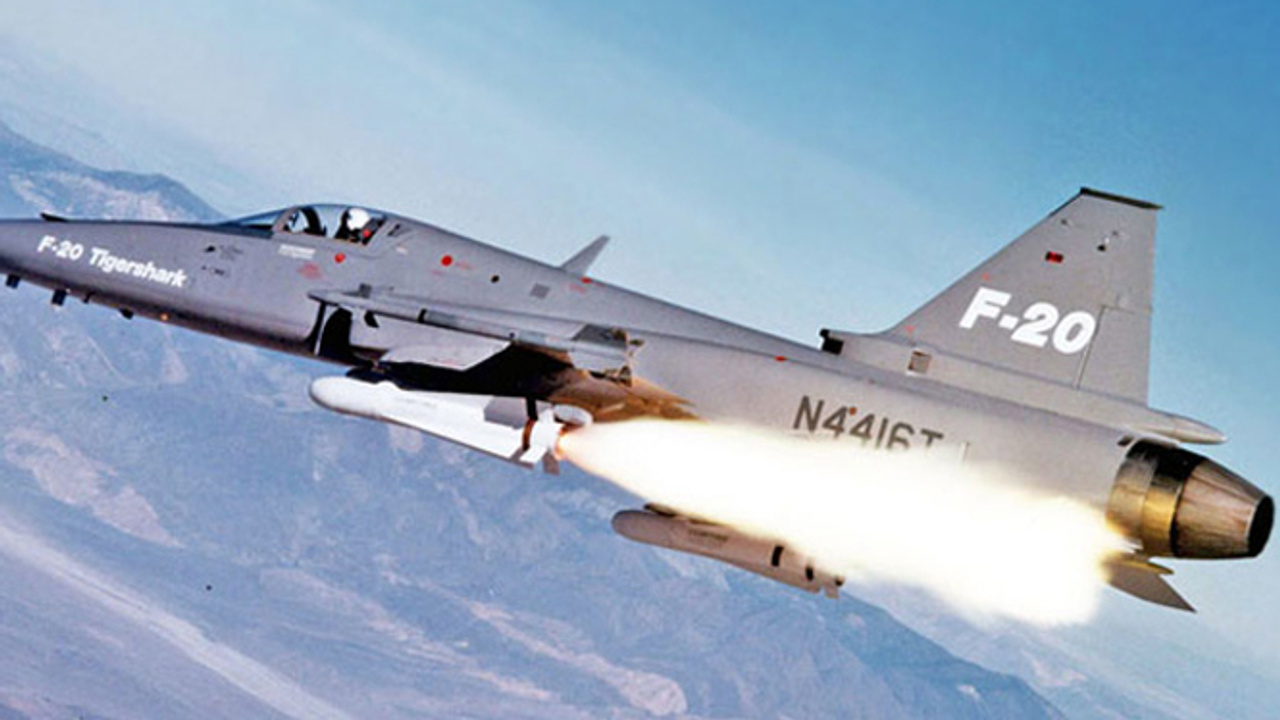 极富悲剧色彩的虎鲸,虎鲨悲剧