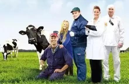 配方奶粉问题大全,奶粉七个误区