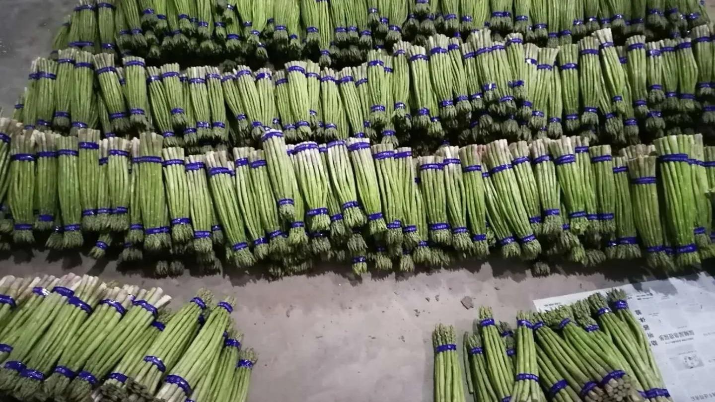 白色总比绿色贵,其实都是智商税,以后别被骗了,网友:都是炒作