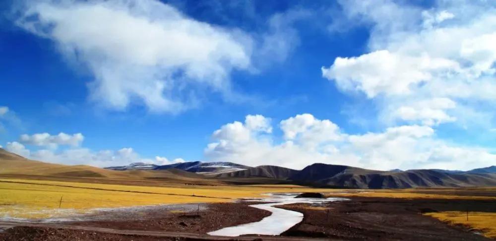 山丹军马场世界第一大军马场,山丹军马场适宜养马的原因