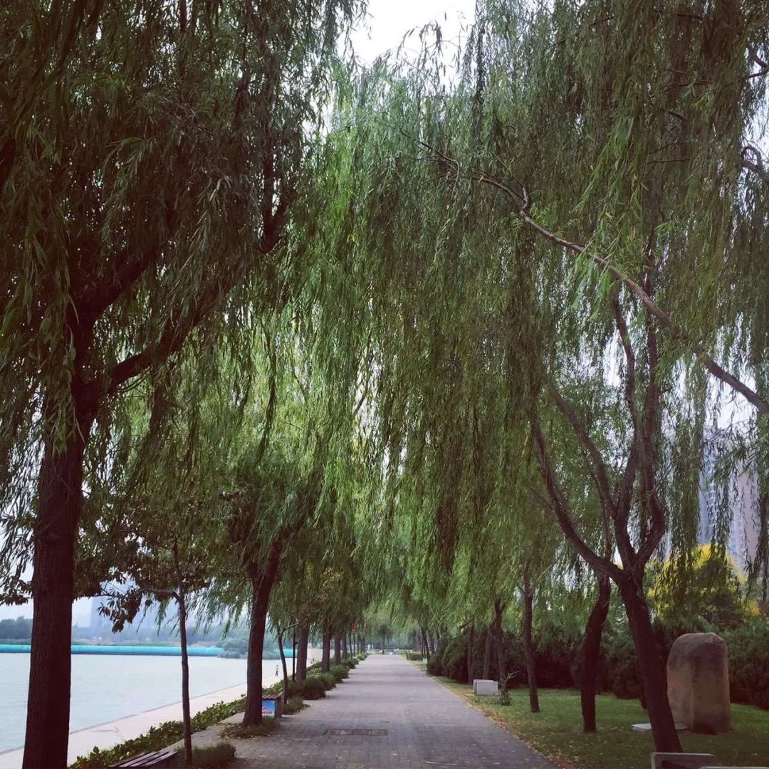 暴走咸阳15个小时,这15家美味店铺太太太好吃了