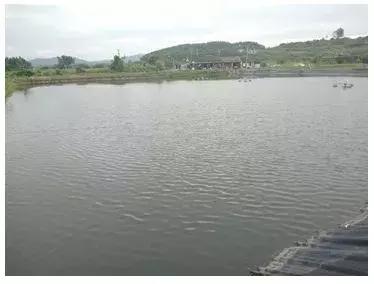 虾放冰箱和技巧,养虾放苗前的准备工作