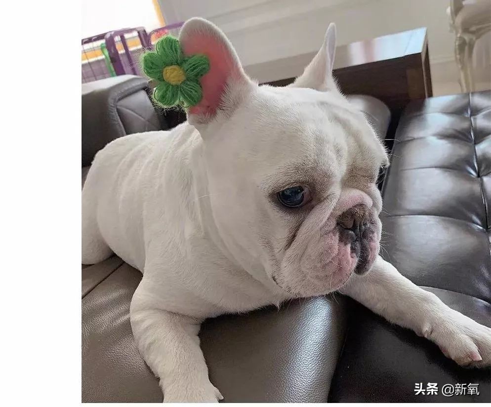 宋妍霏私服穿搭太时髦,土的掉渣时装表演