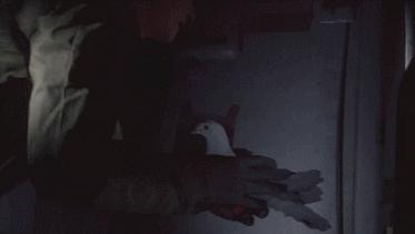 世界大战中的信鸽传奇：以吾一“鸽”之力挽救无数生命