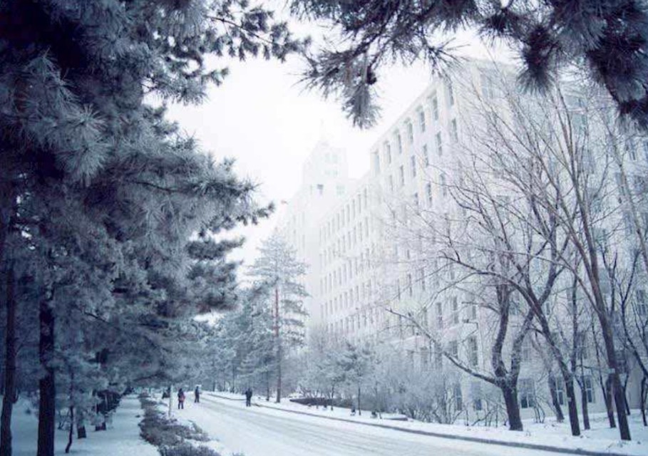 占地面积最大的学校是哪个,中国有几所森林学校
