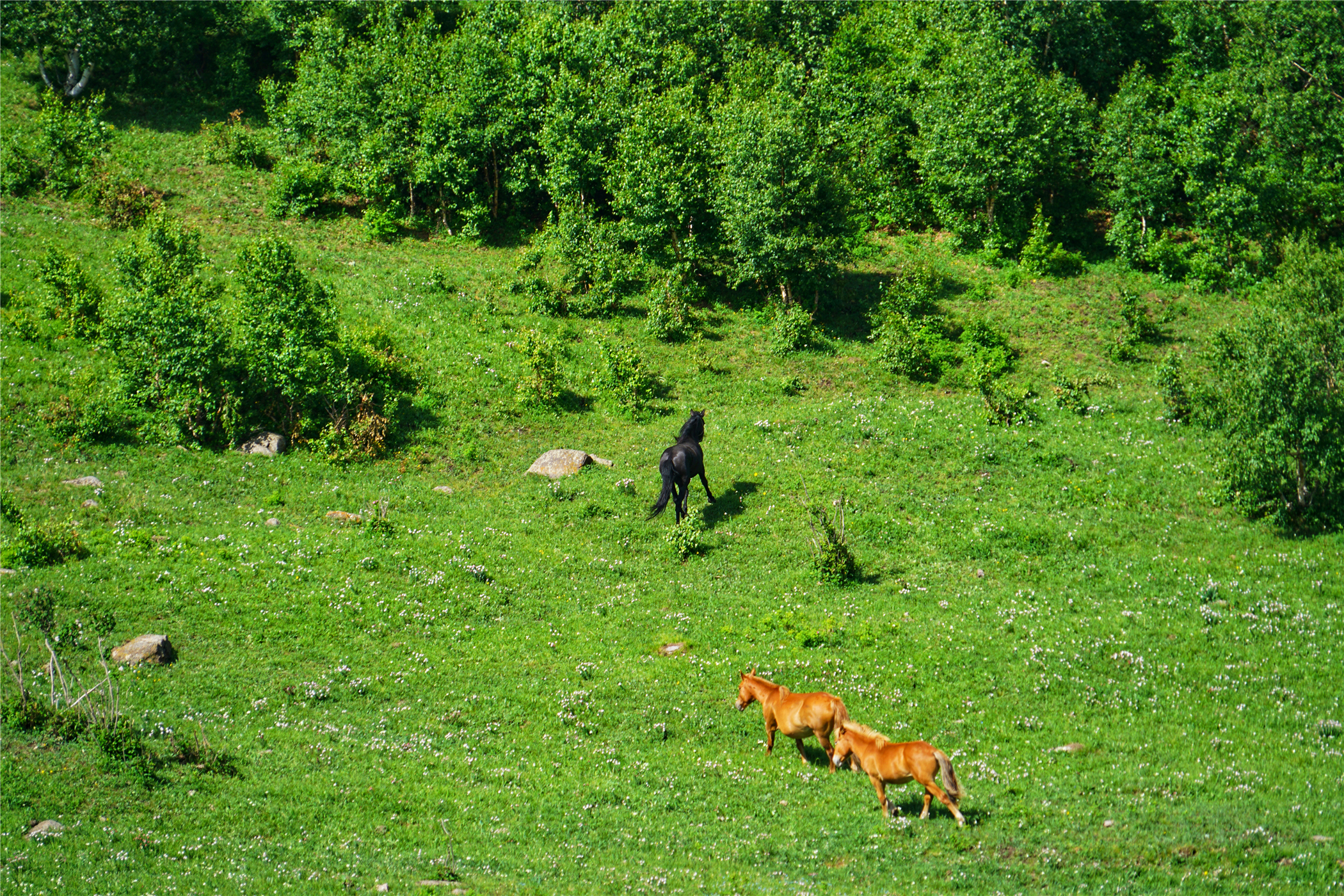 北京自驾避暑旅游攻略,2天一夜避暑胜地自驾游大盘点