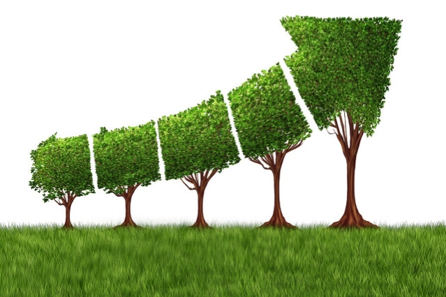 土地种植入股经营合作方案,土地流转种植致富项目