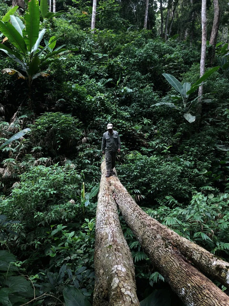 GQ报道,gq报道号