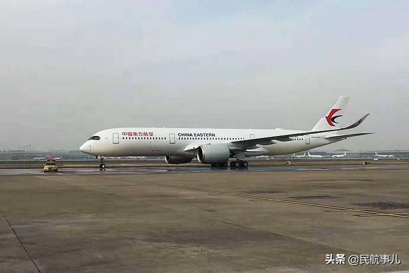 超30家航空公司停飞所有国际航线,国外航空停航怎么办