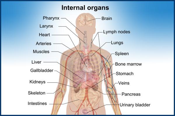 2013年癌症最新研究进展汇集,2019癌症研究治疗成果