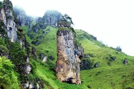 东川石将军自驾游,云南东川石将军罗汉松