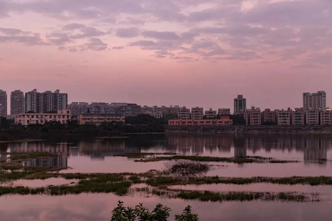 深圳11号线哪一站下车可以看海,坐深圳11号线去看海的地方