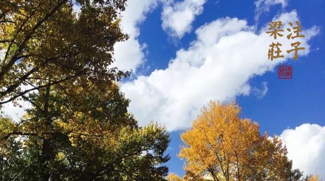 梁冬旁观一下自己的人生,梁冬做自己喜欢的事是最好的修行