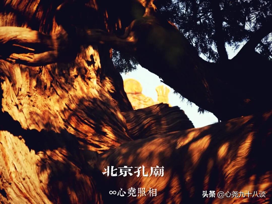 北京孔庙游览攻略,孔庙历经了700多年的历史文化积淀