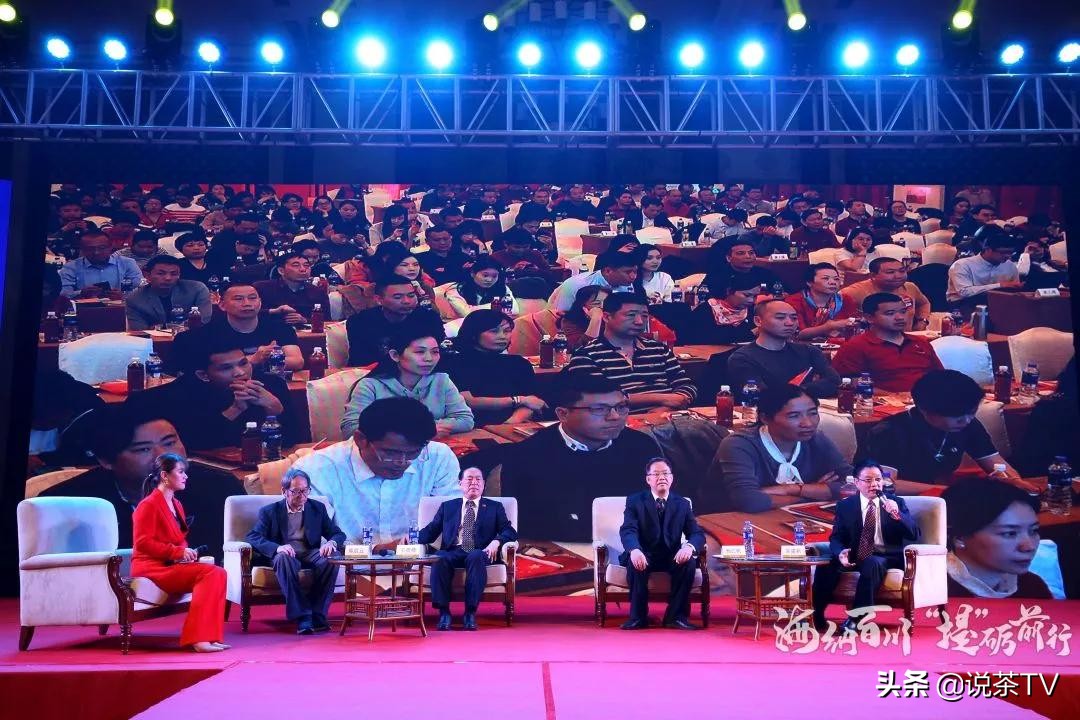 中茶海堤茗茶节,福建中茶海堤