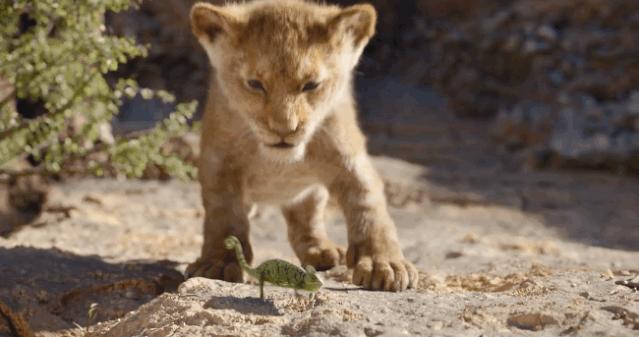 看狮子王电影,看电影狮子王
