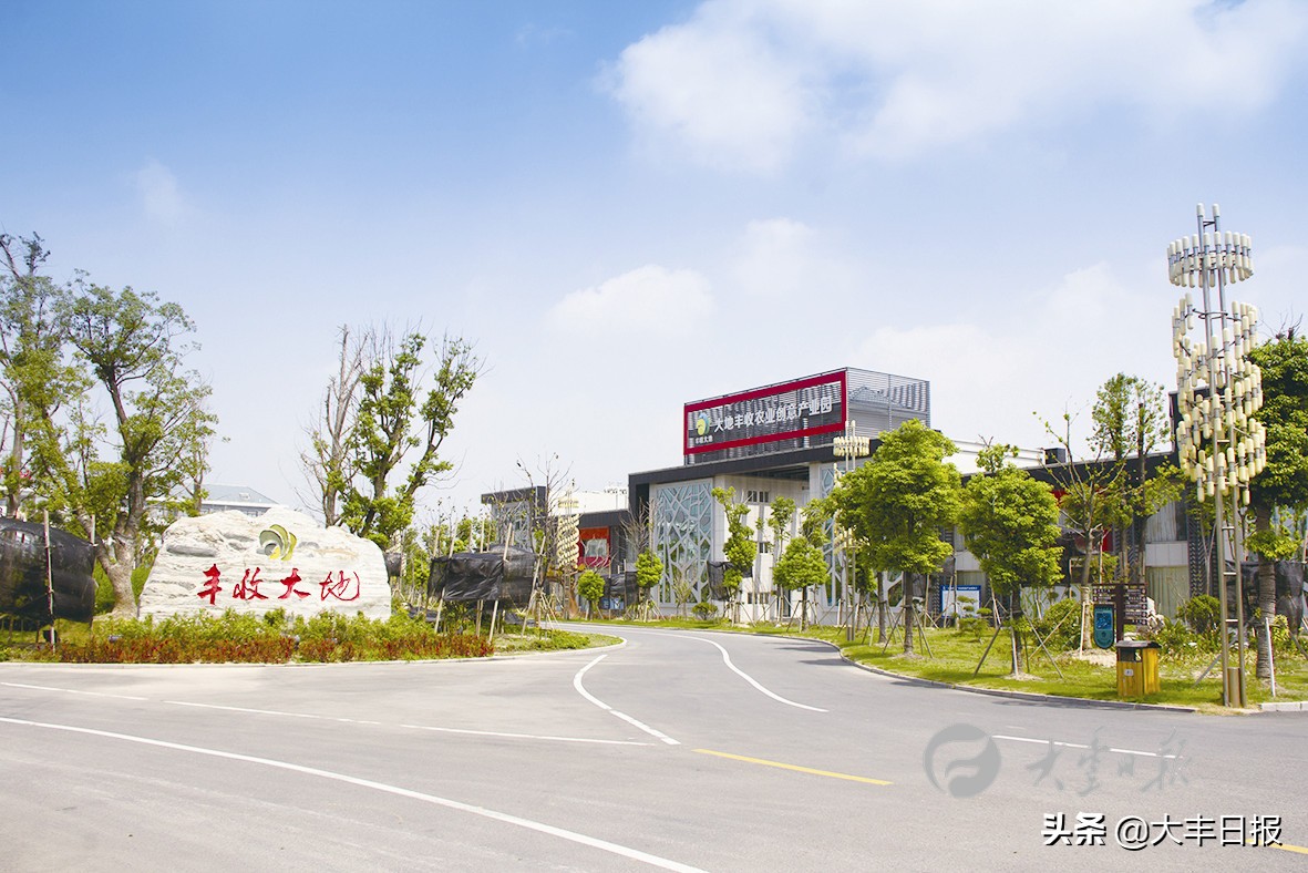 盐城射阳全面加速乡村振兴步伐,盐城聚焦乡村振兴