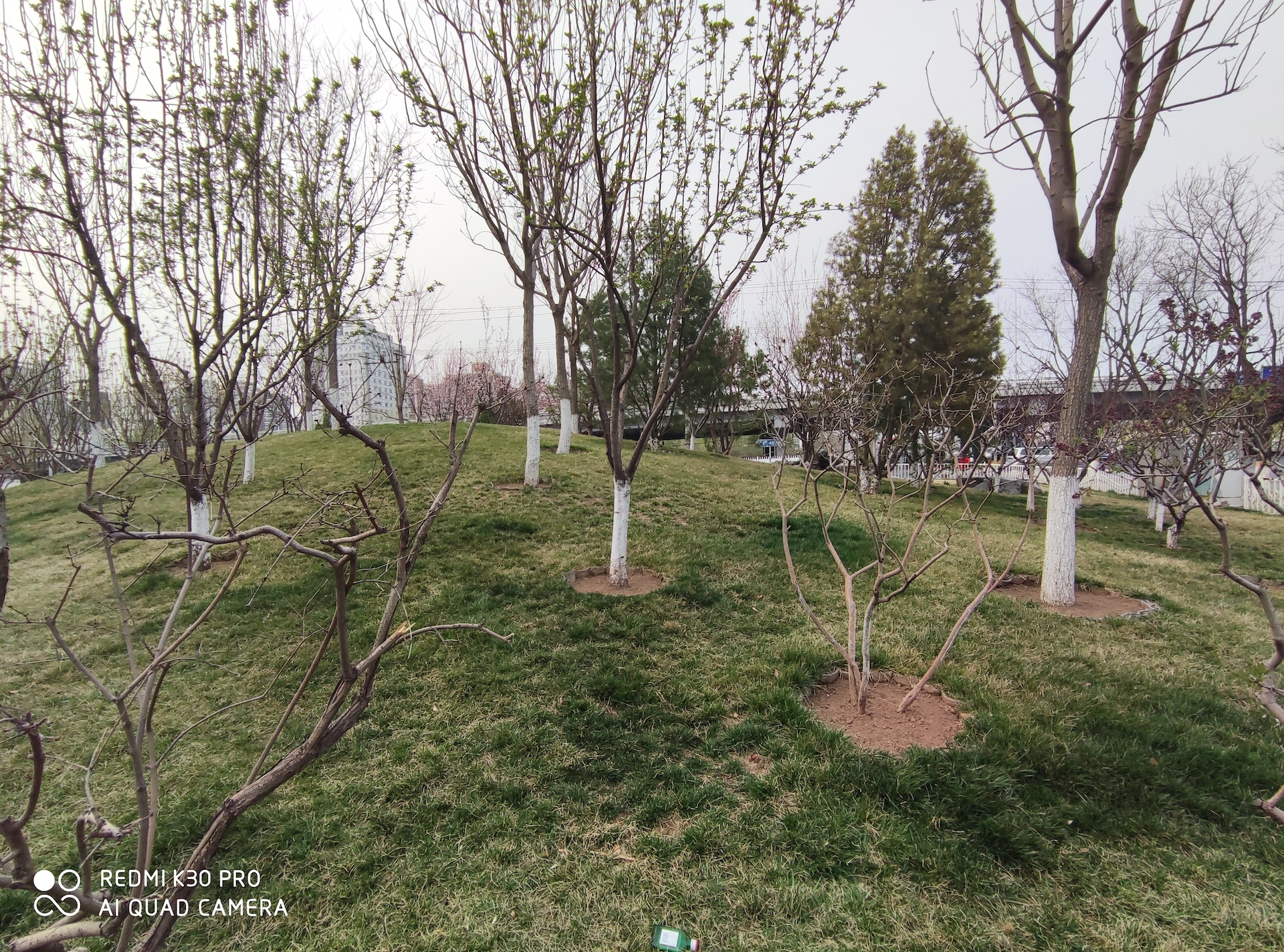 红米k30pro对比红米note10pro,红米k30pro跟小米10哪个值得买