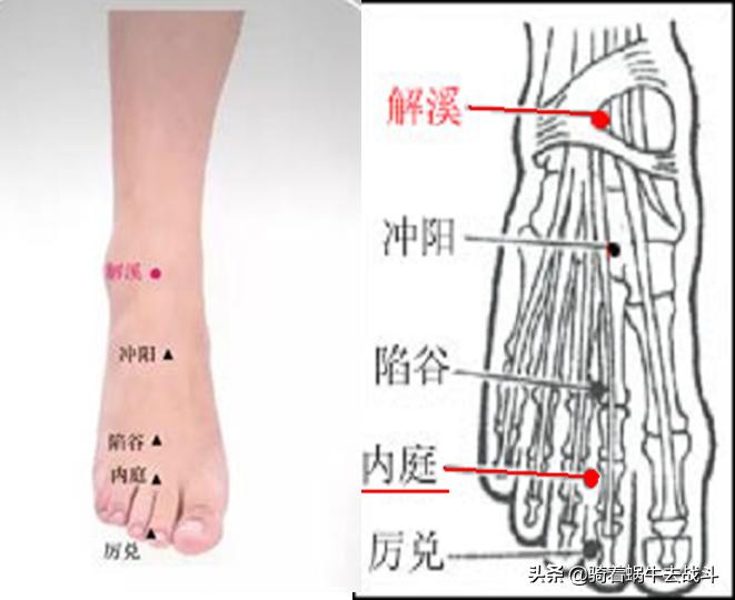 按摩胃经的正确手法和时间,按摩胃经穴有什么好处