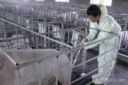 输精治疗的最好方法,输精管堵塞还有精子排出不