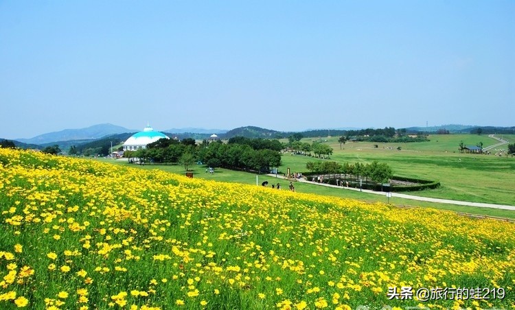 武汉环境好的区域,武汉环境最好是哪个区