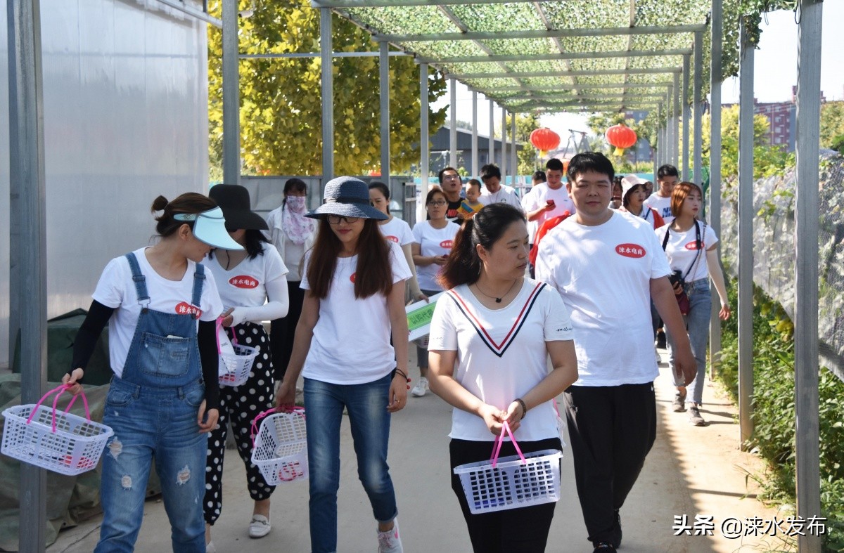 鐖卞績鍔╁啘鑻规灉鏂伴矞閲囨憳,鐖卞績浼佷笟鍔╅攢钁¤悇