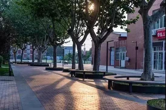 校园文化景观改造设计,校园景观改造