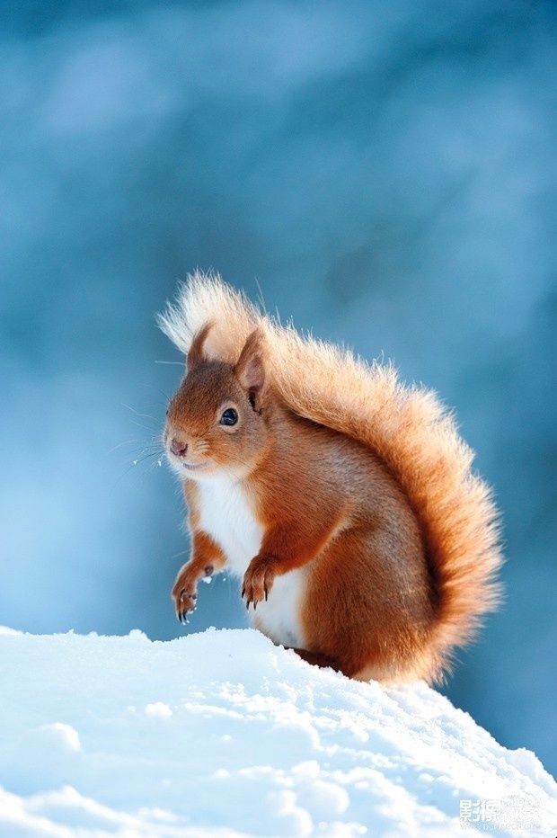 如何高效利用你的碎片时间学习,早上如何利用碎片时间学习