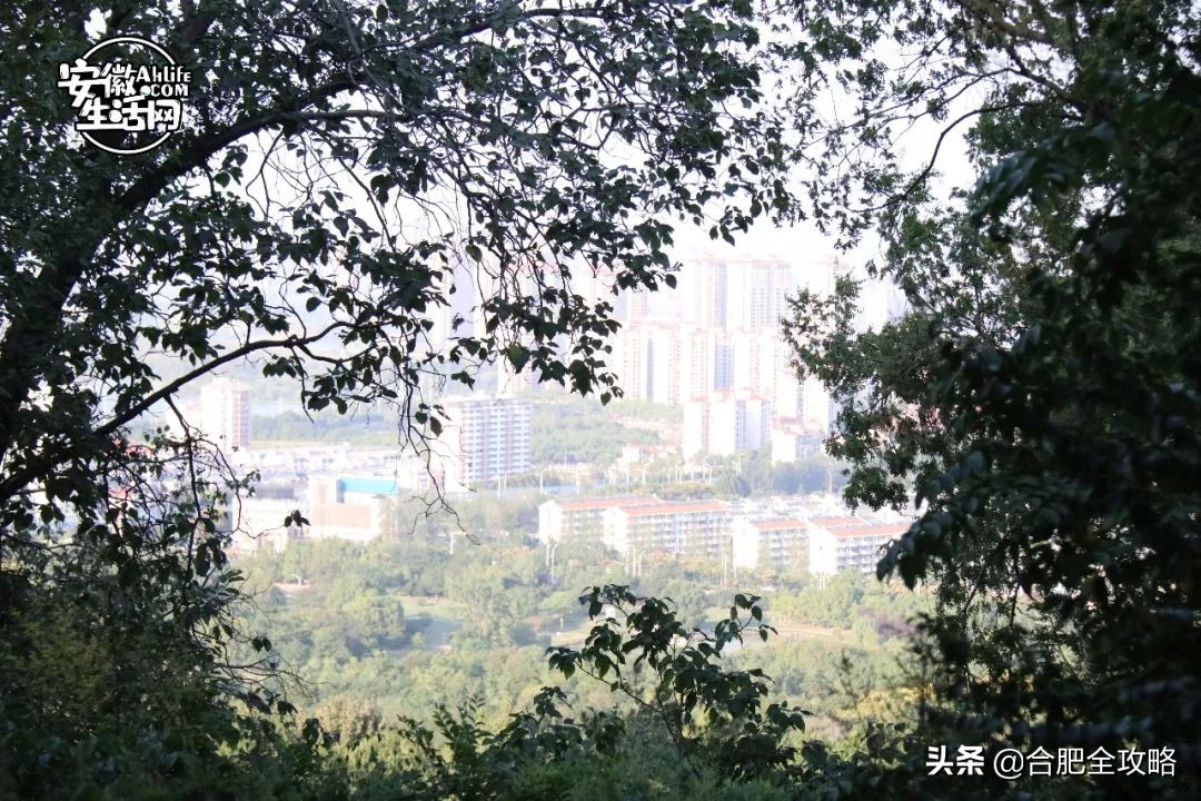 大蜀山,大蜀山的爱情