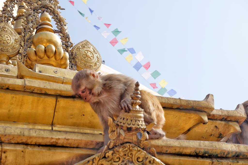 坐公交出国,坐公交可以环游中国么