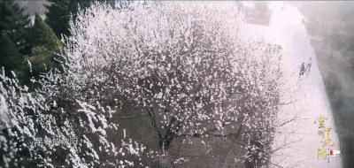 凡是过往皆为序章更新,凡过去皆序章