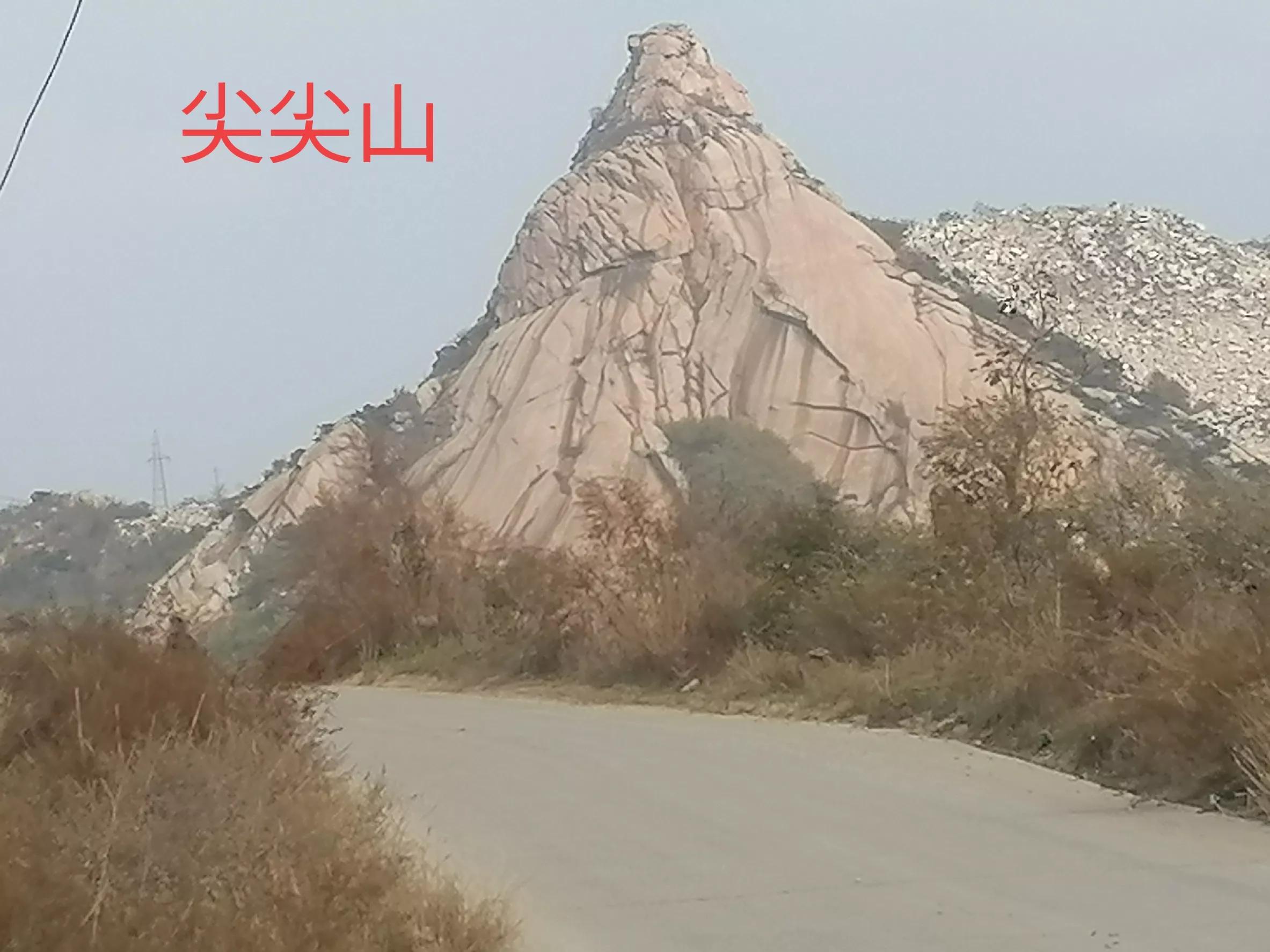 中国柿子之乡,柿子之乡的柿文化