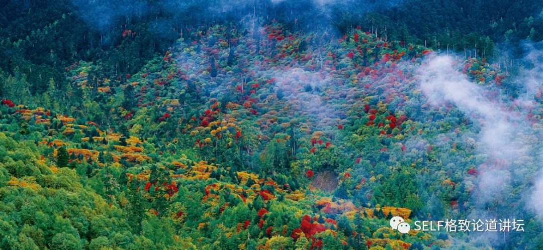 新疆天山申请世界自然遗产,天山为什么被入选为世界自然遗产