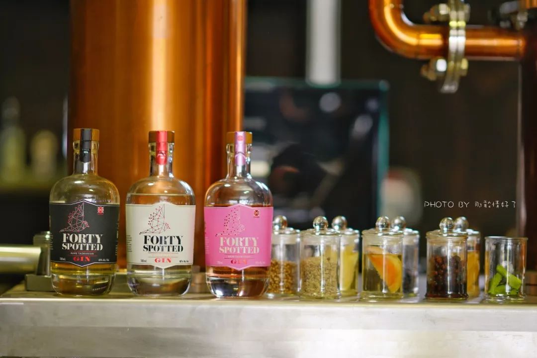 去哪里旅游可以看南极企鹅,旅游攻略南极看企鹅