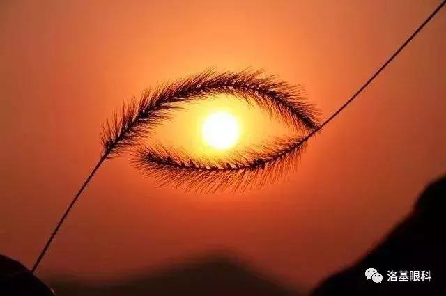 治疗白内障,治疗白内障的效果图