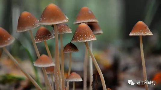 电气测控专业就业前景,电气相关专业就业前景