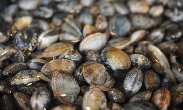 秦皇岛海鲜码头4月开海,秦皇岛开海海鲜