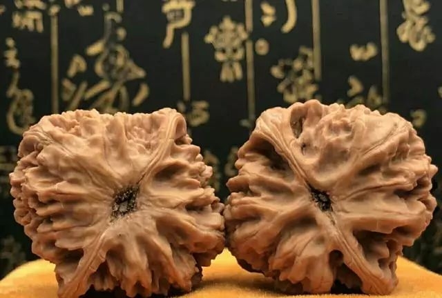 文玩核桃能放罐子里储存吗,文玩核桃的储存方法